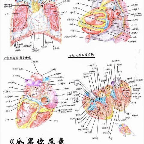 二等奖 如果你愿意一层一层地剥开我的心 作者:杨辉宇